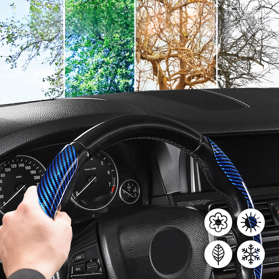 Protección de Carbono para Volante 