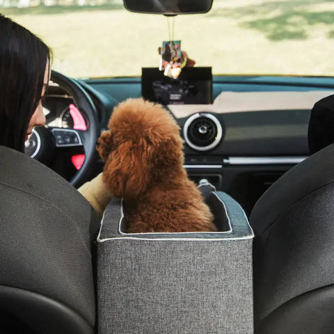 Car Travel Basket for Dogs – Perfect for Small Companions 