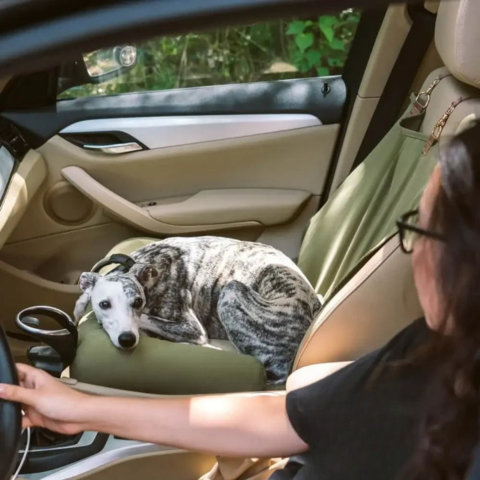 Asiento de Auto Trasero para Perro – Instalación Fácil y Estabilidad 