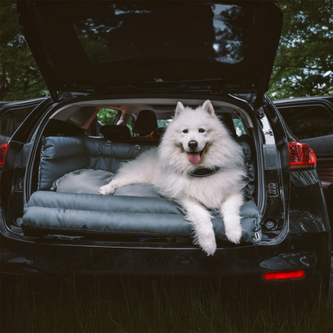 Coussin Auto Pour Chien – Maintien Et Confort Sur La Route