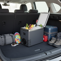 Mini Køleskab & Bilmadvarmer — 2 I 1 Praktisk 