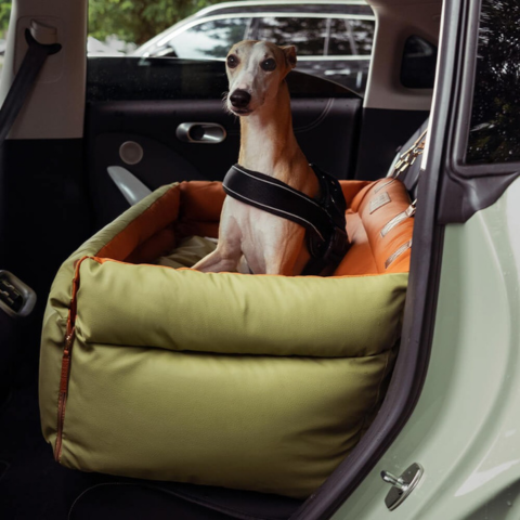 Coussin Auto Pour Chien – Maintien Et Confort Sur La Route